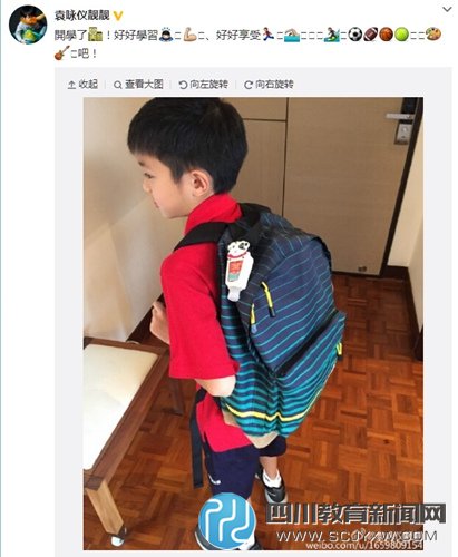 袁咏仪微博截图