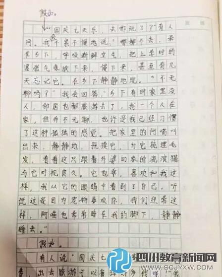 浙江6年级女生作文：高速变慢速 堵车堵成羊肉串