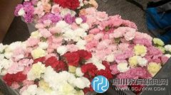 校园暖男打工一年多 情人节前买花送全校