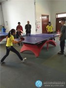 龙泉九小乒乓球队囊括前四所有奖项,引