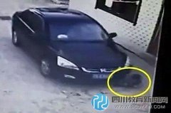 陕西靖边一纪委官员碾死女童 表叔"顶包